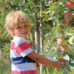 Farm Goods