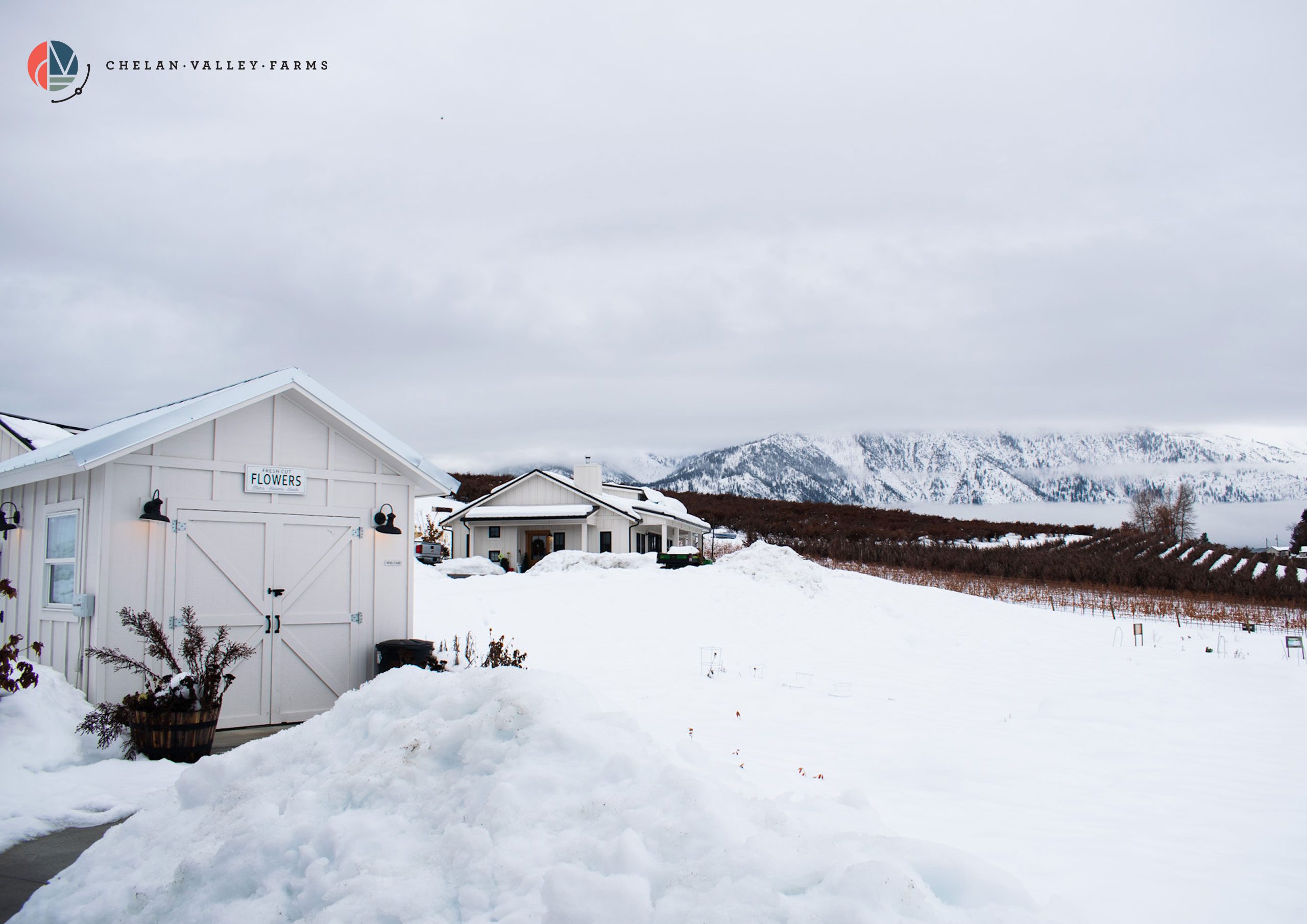 Home - Chelan Fresh