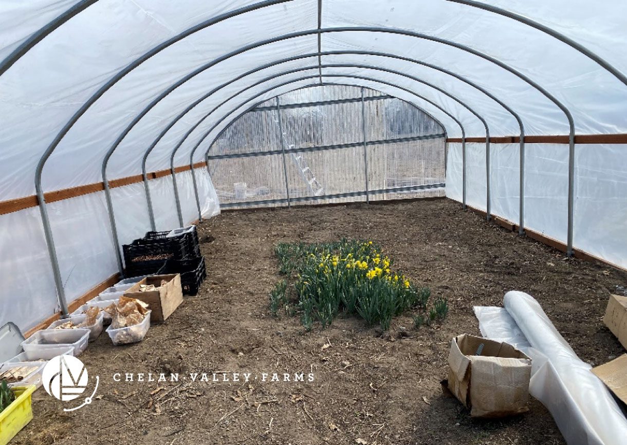 Greenhouse at Chelan Valley Farms