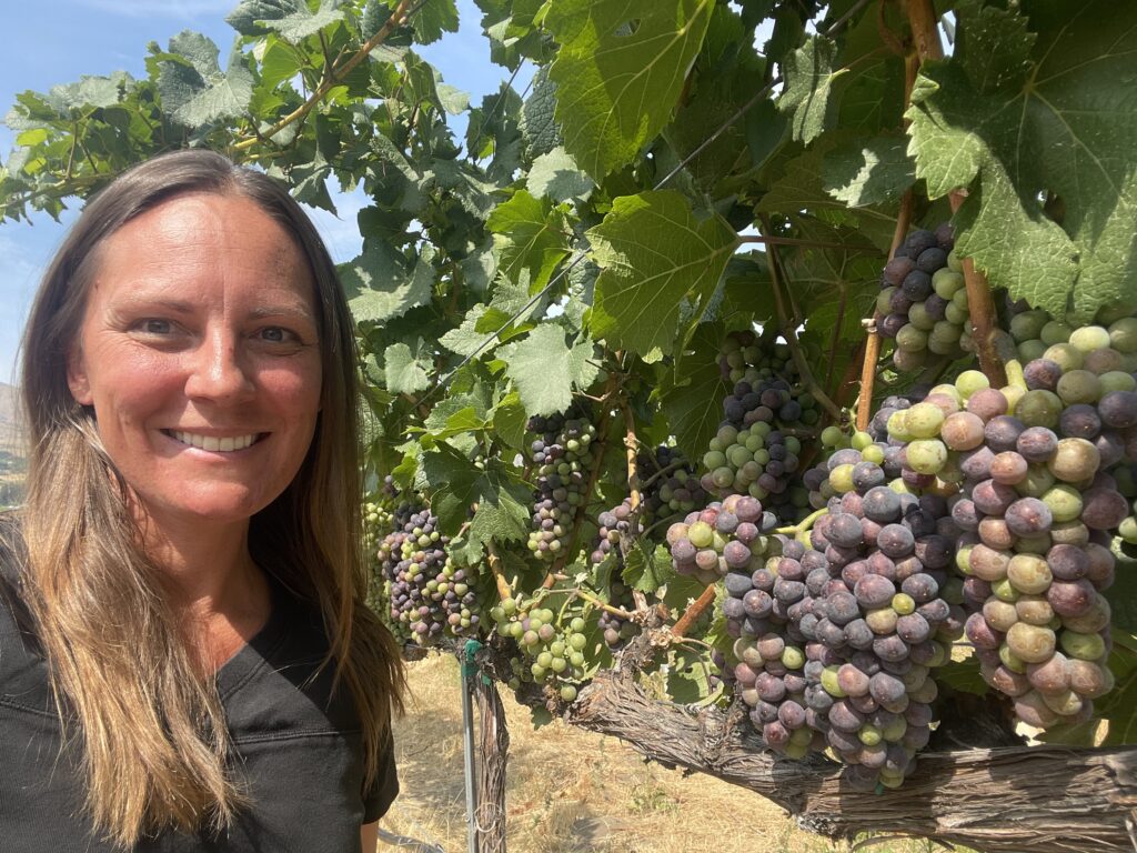 Pinot Noir's voice gets heard... as we talk about the 1/2 way point.
