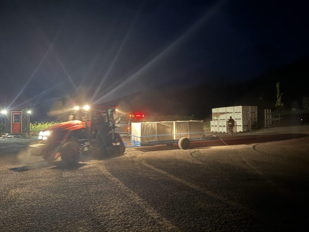 The bins coming to the vineyard.