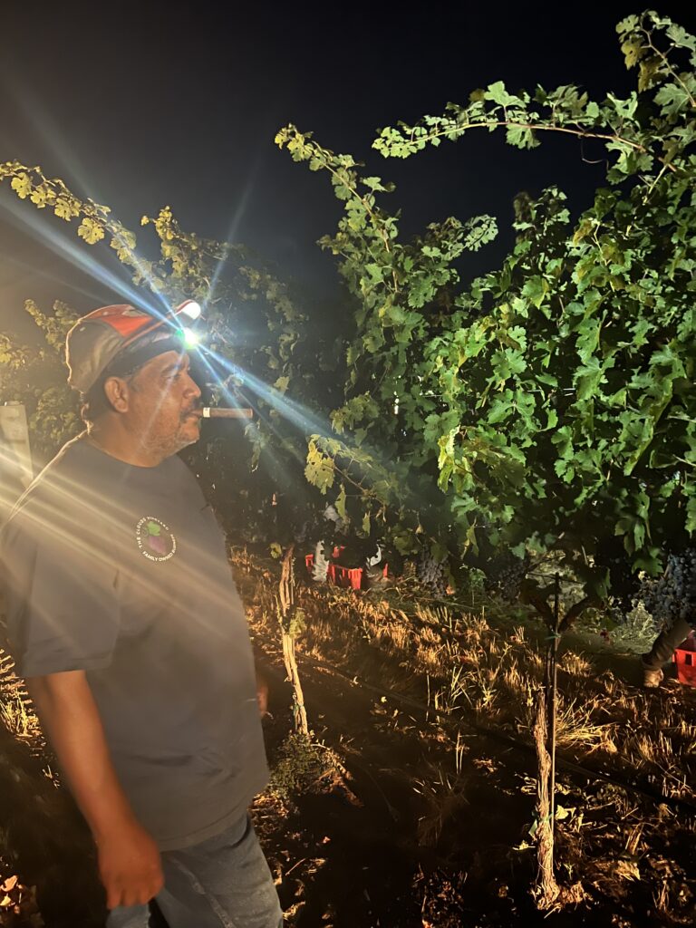 José on harvest day!