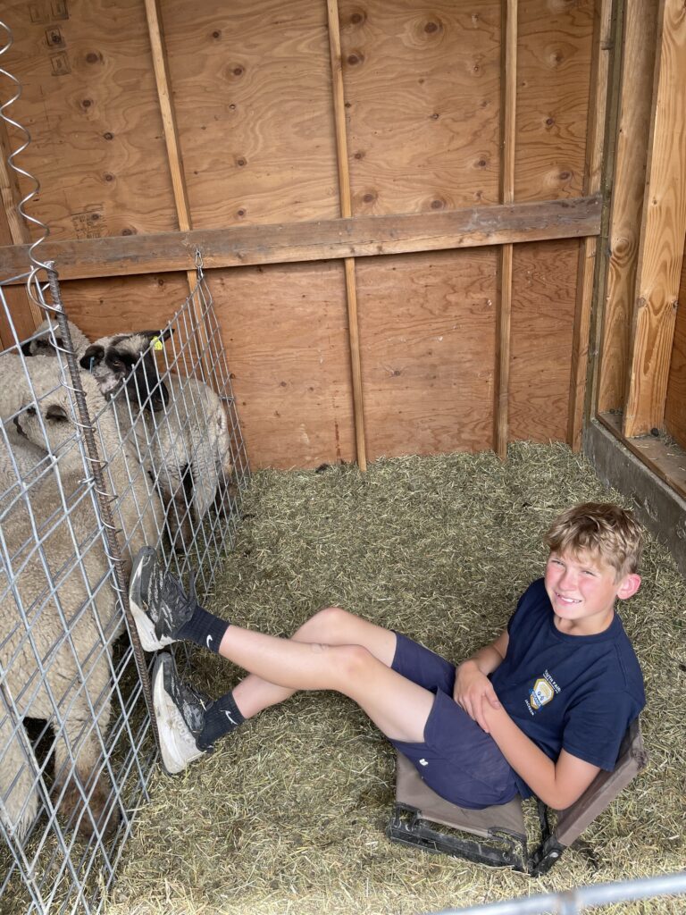 Jackson with our grass-fed sheep on shearing day — regenerative farming at Chelan Valley Farms.