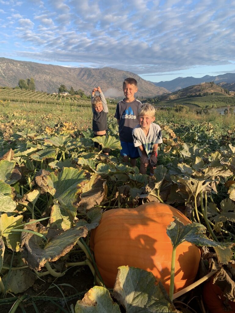 Three boys standing in the u-pick pumpkin field at Chelan Valley Farms in Manson, WA, with orchards, the Lake Chelan Valley and mountains behind them